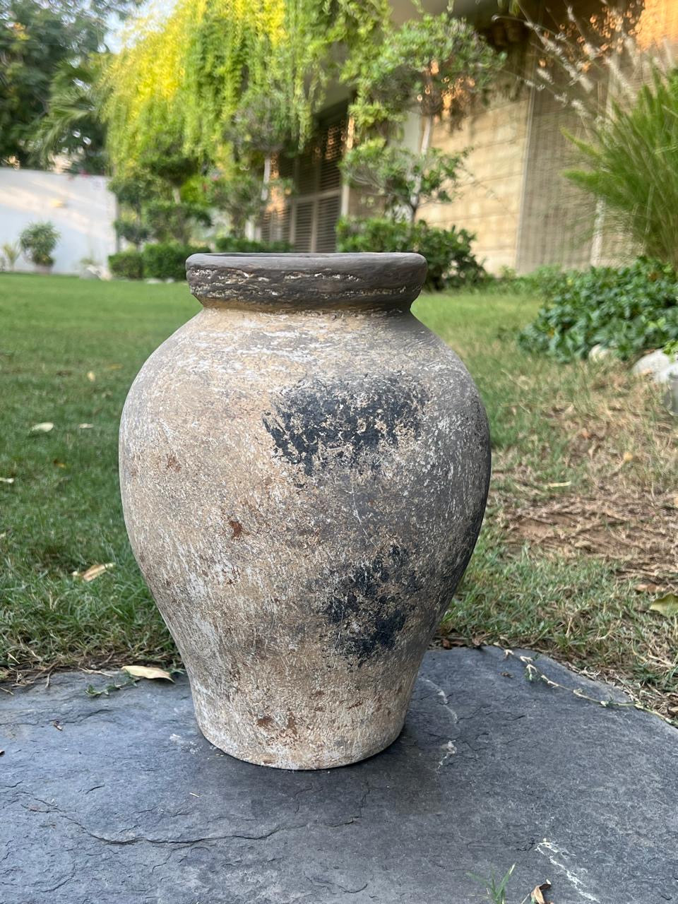 Forest Clay