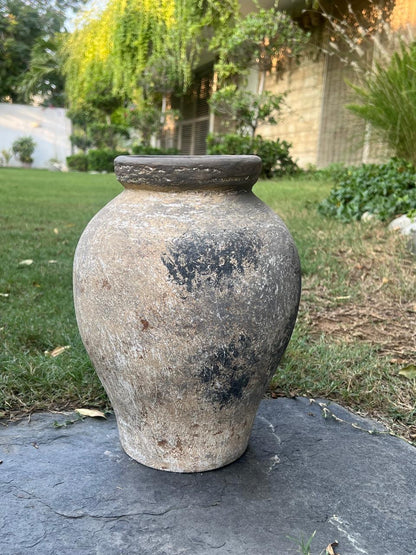 Forest Clay