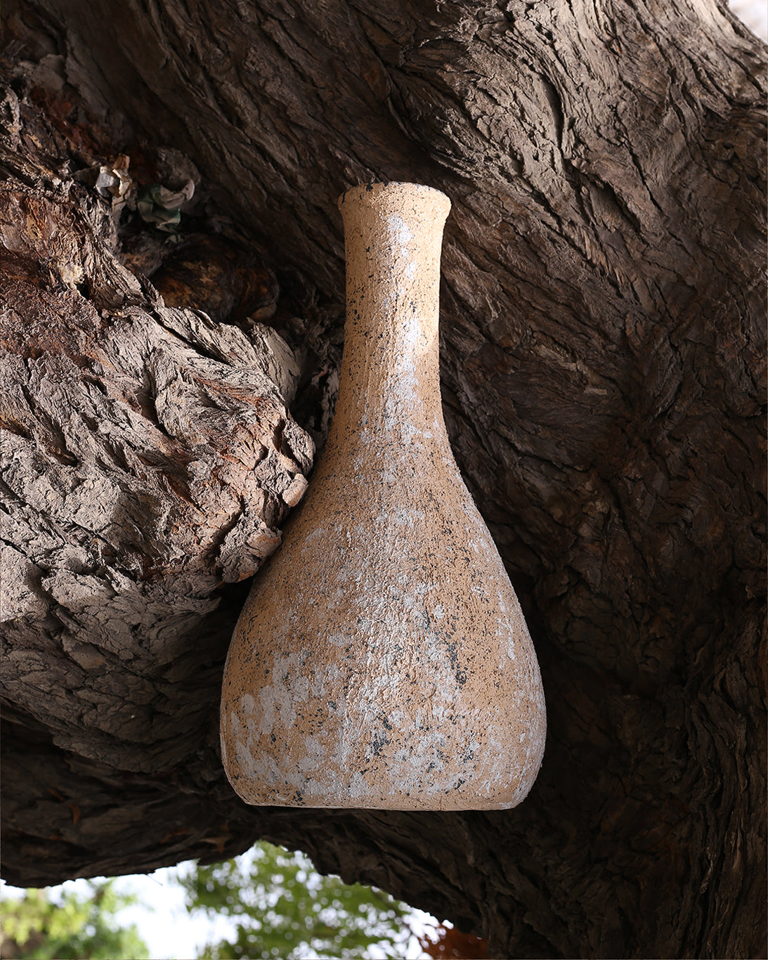 Fossil Clay